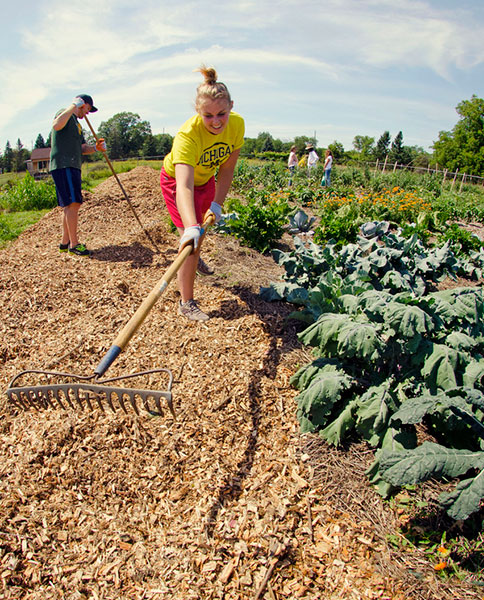 Student volunteers work on the Campus Farm at the U-M Matthaei Botanical Gardens